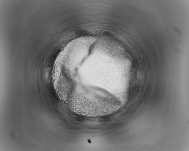 X0000113120671200909181650