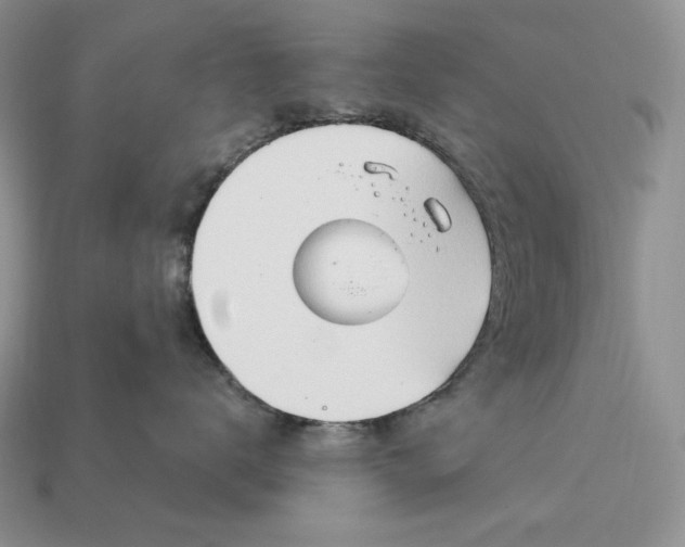 X0000113120672200909181650