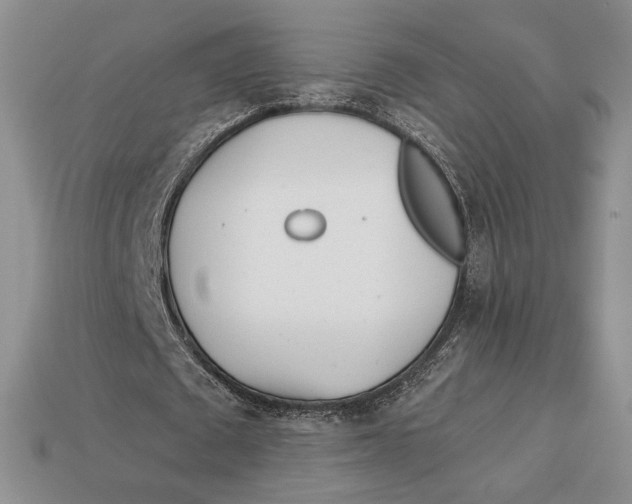 X0000113120673200909181649