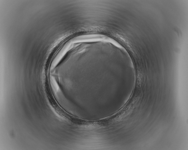 X0000113120674200909181649