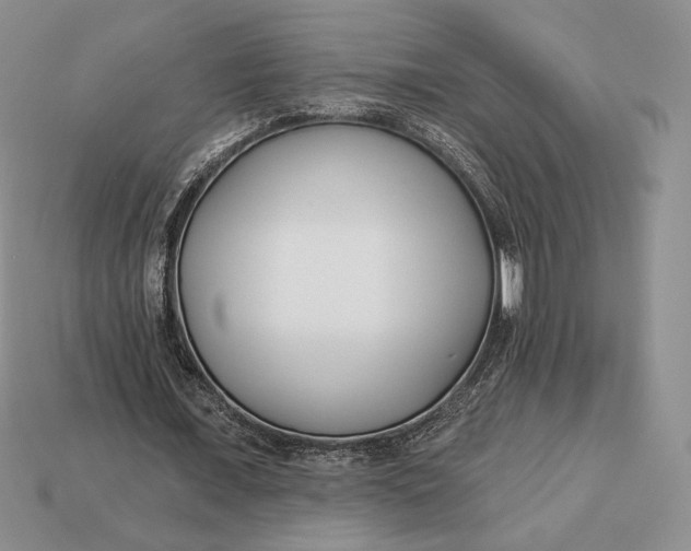 X0000113120675200909181649