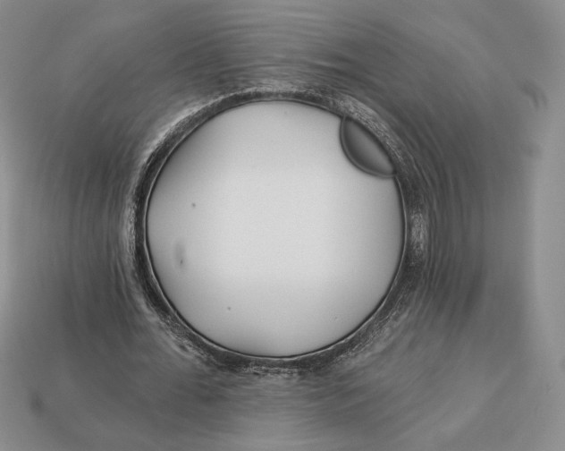 X0000113120676200909181649