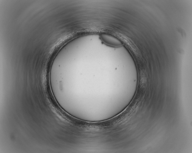 X0000113120677200909181649