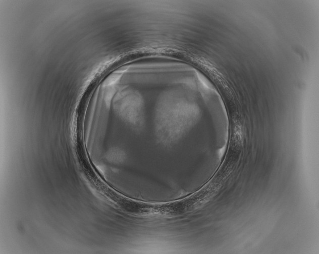 X0000113120678200909181649