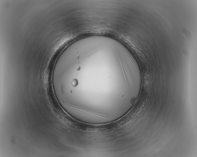 X0000113120679200909181649