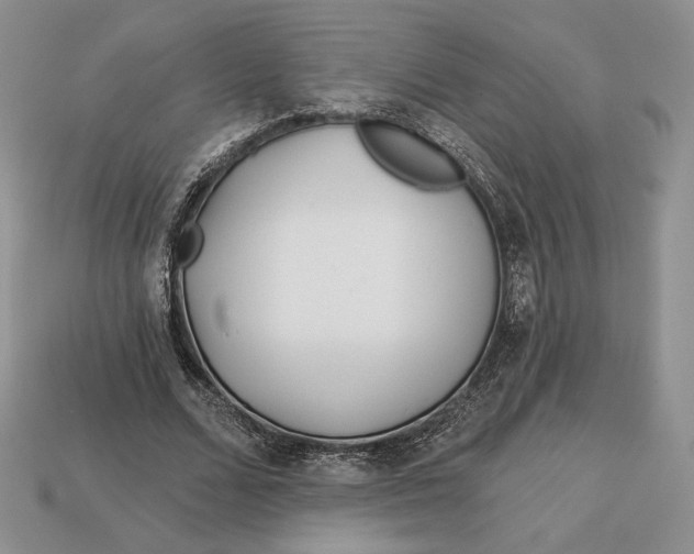 X0000113120680200909181649