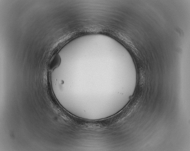 X0000113120681200909181649