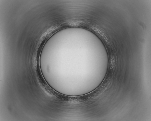 X0000113120682200909181649