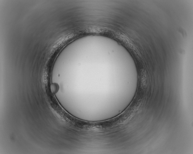 X0000113120683200909181649