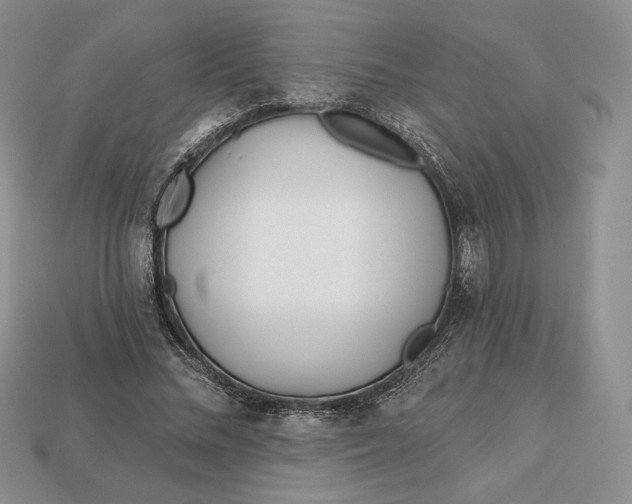 X0000113120684200909181649