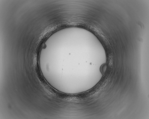 X0000113120685200909181649