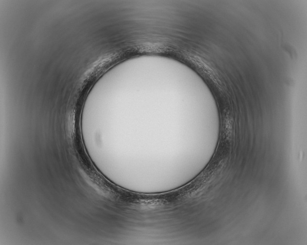 X0000113120686200909181649