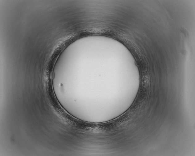 X0000113120688200909181649