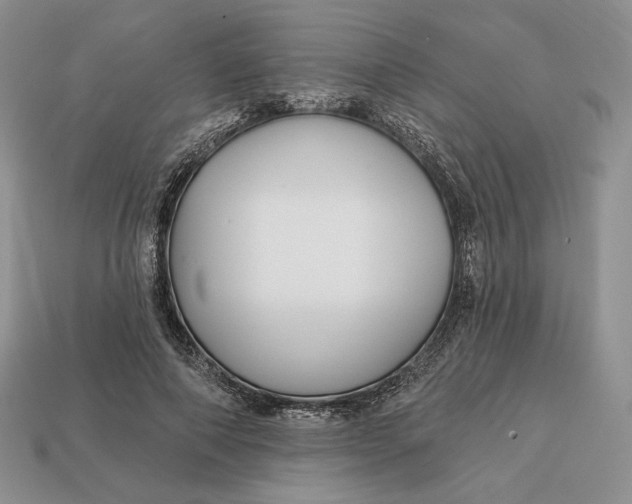 X0000113120690200909181649