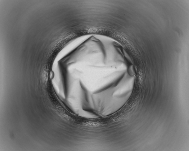 X0000113120691200909181649