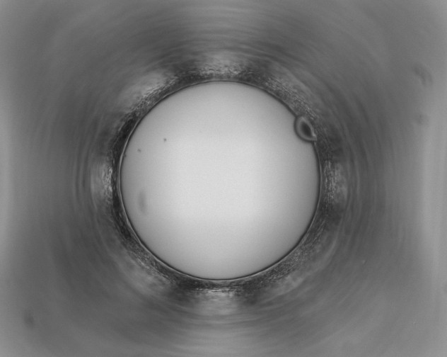 X0000113120692200909181649