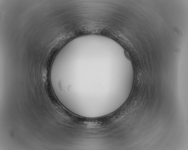 X0000113120693200909181649