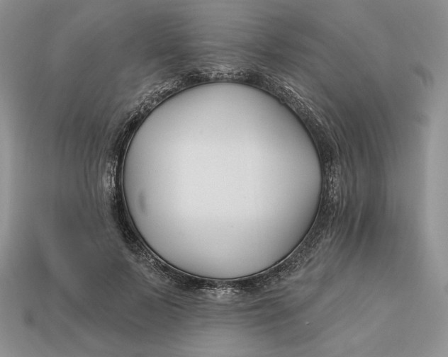 X0000113120695200909181649