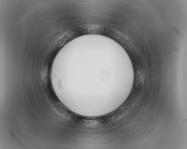 X0000113120698200909181649