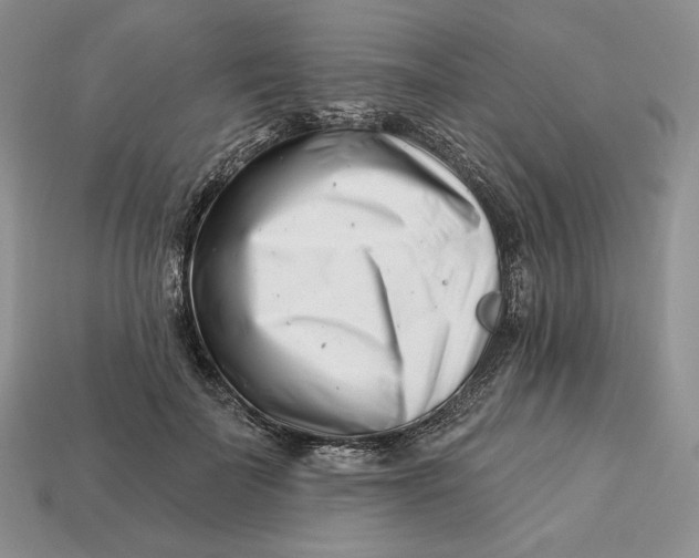 X0000113120699200909181649