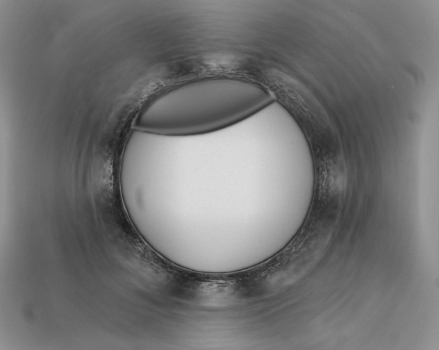 X0000113120700200909181649