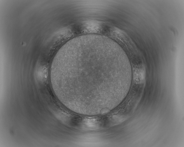 X0000113120701200909181649