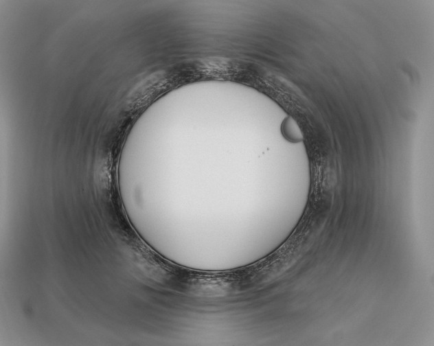 X0000113120702200909181649