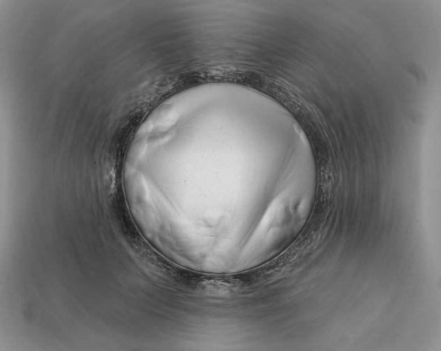 X0000113120703200909181649