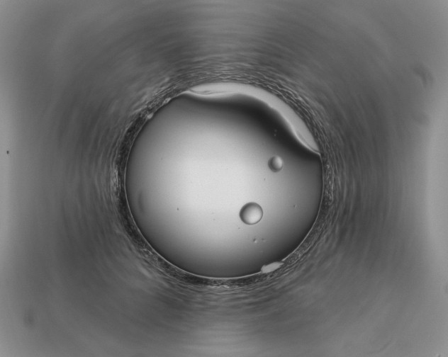 X0000113120704200909181649