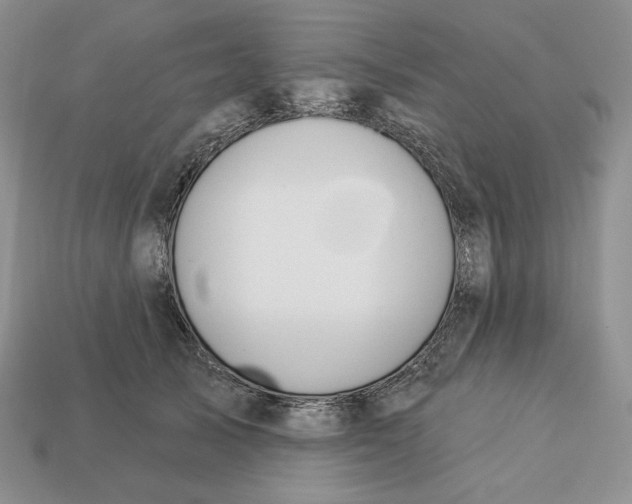 X0000113120705200909181649