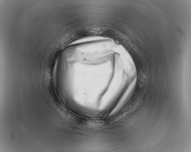 X0000113120707200909181649