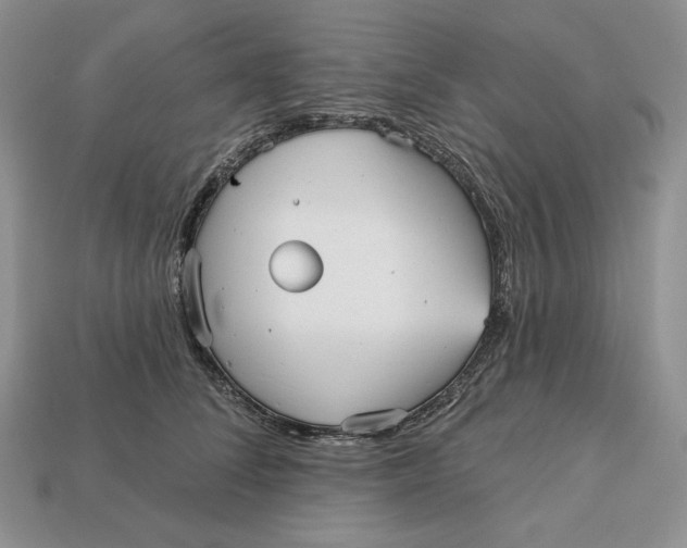 X0000113120708200909181649