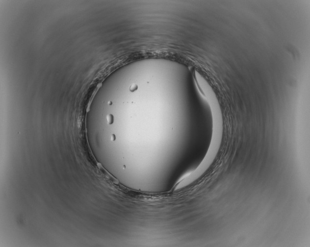 X0000113120709200909181649