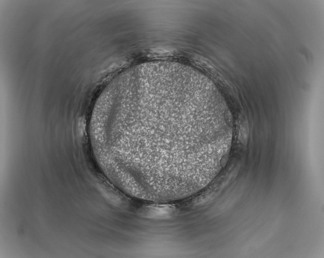 X0000113120711200909181648