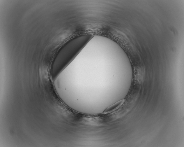 X0000113120712200909181648