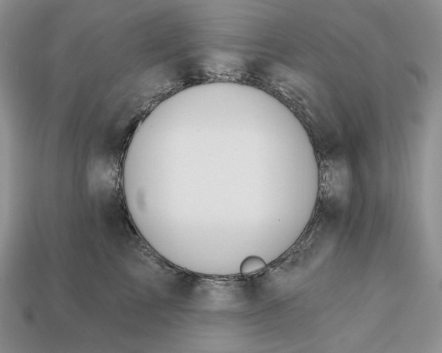 X0000113120713200909181648