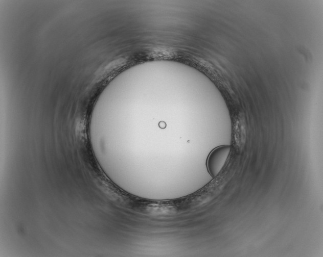 X0000113120714200909181648