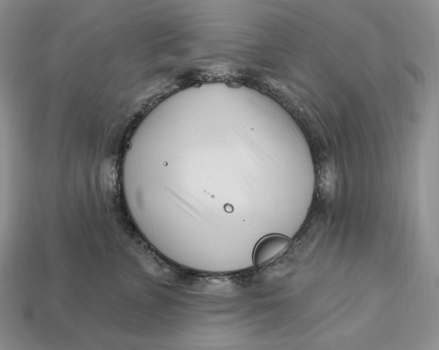 X0000113120715200909181648