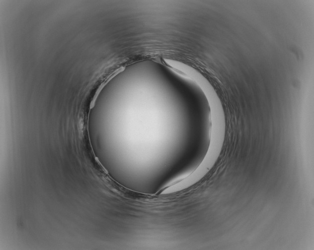 X0000113120716200909181648