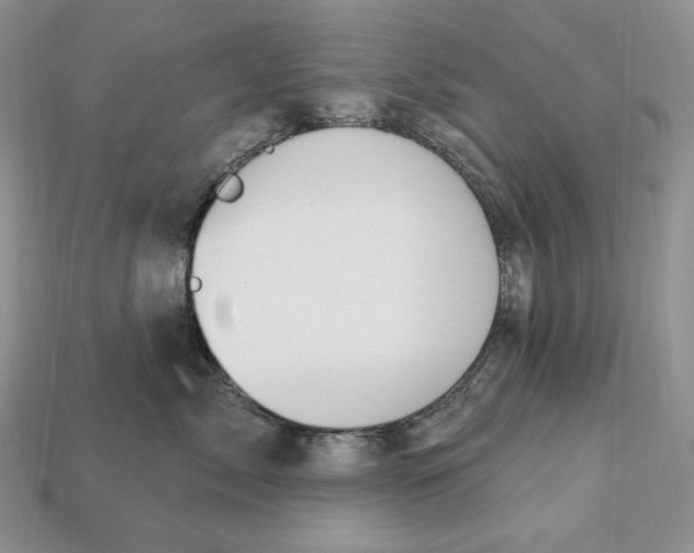 X0000113120717200909181648