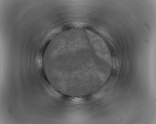 X0000113120718200909181648