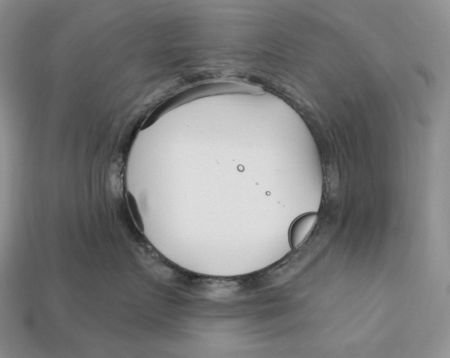 X0000113120719200909181648