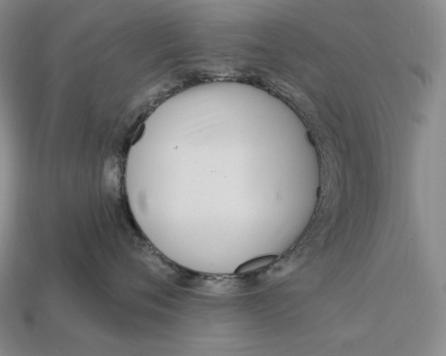 X0000113120720200909181648