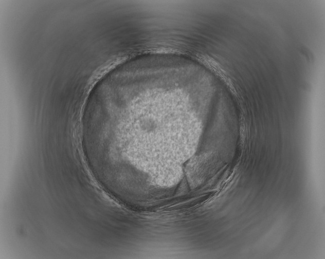 X0000113120721200909181648