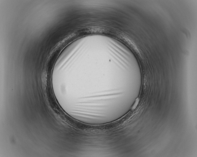 X0000113120722200909181648