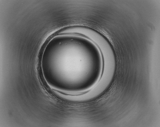 X0000113120724200909181648