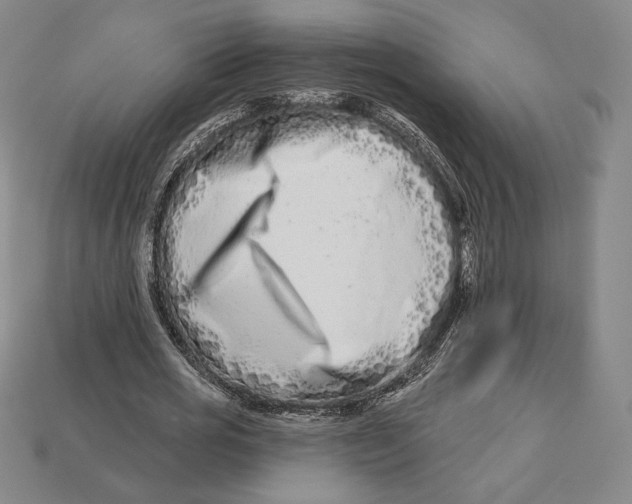 X0000113120725200909181648