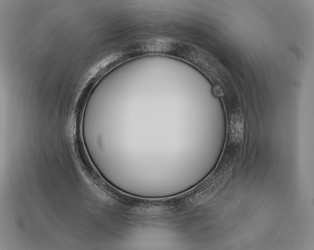 X0000113120726200909181648