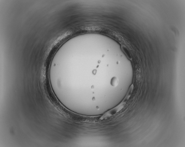 X0000113120727200909181648