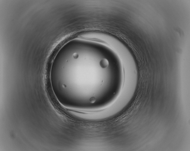 X0000113120728200909181648